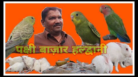 Exotic Birds Market Visit At Haldwani Nainital Uttarakhand Ub