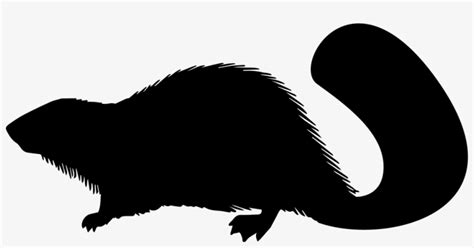 Beaver Mammal Animal Shape Svg Png Icon Free Download Beaver Shape