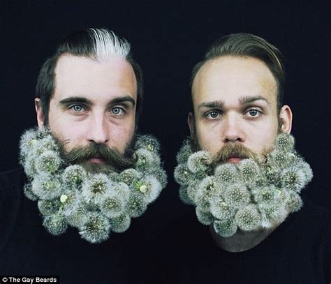 The Gay Beards Decorate Their Facial Hair In Instagram Images Daily Mail Online