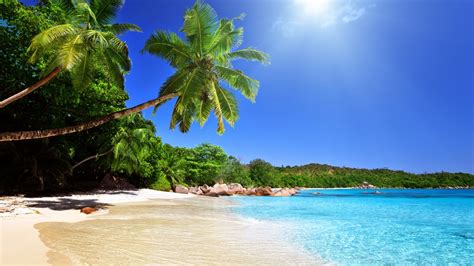 Free Download Tropical Blue Sea Clear Sky White Sand Beach View Theme