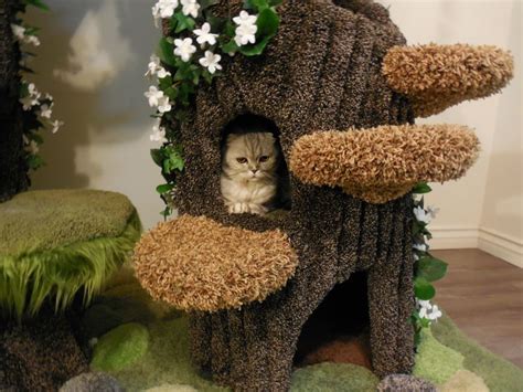 Outdoor cat tree can be a lovely and pleasing addition to your cat's life! Realistic Cat Tree by the Hollywood Kitty Company
