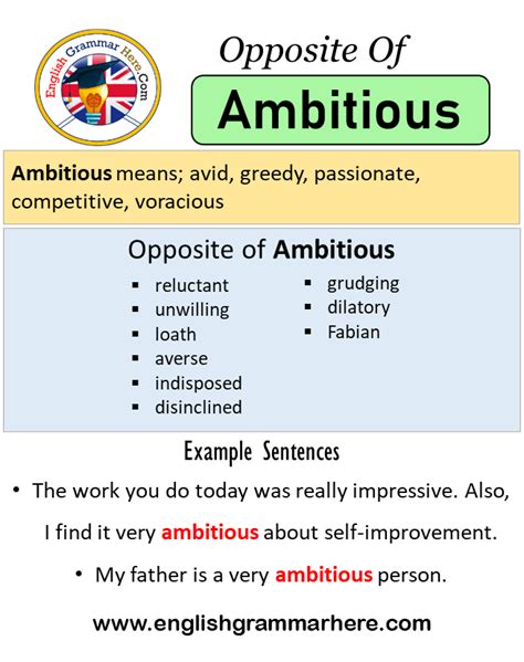 Opposite Of Ambitious Antonyms Of Ambitious Meaning And Example