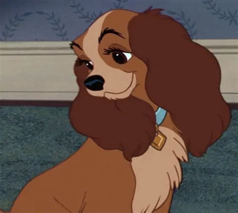 100 Disney Girl Dog Names The Paws