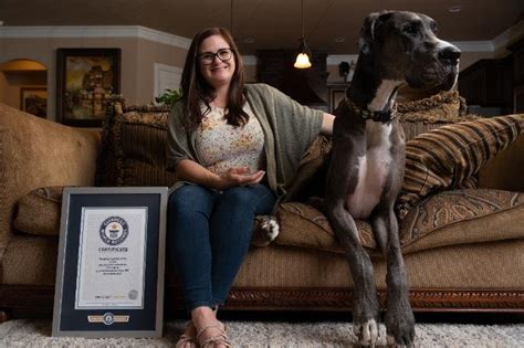 Watch Texas Dog Dubbed Worlds Tallest At 3 Feet 518 Inches