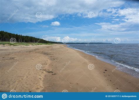 Sandy Beach Sea And Coniferous Forest Stock Image Image Of Scenery