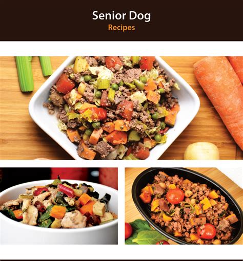 Check spelling or type a new query. Homemade Dog Food Recipes for Senior Dogs | The Canine ...