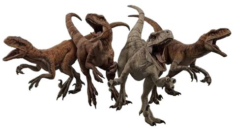 Atrociraptor Jurassic World Revival New Ideas By Matt Weaver Wiki Fandom