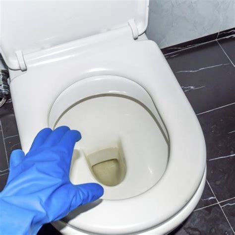 how to remove urine stains from toilet seats toilet cleaning quick cleaning house cleaning