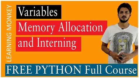 Variables Memory Allocation And Interning Lesson 1 Python