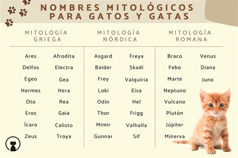 150 Nombres Mitológicos Para Gatos Y Gatas Mitología Griega Romana