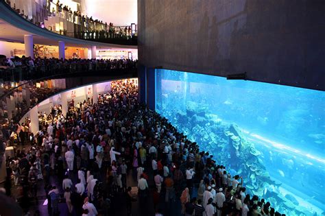 10 Largest Aquariums In The World With Photos And Map Touropia