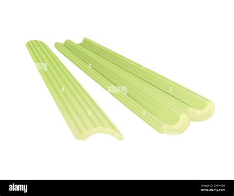 Celery Green Stem Cartoon Vegetable Plant Vector Illustration Isolated