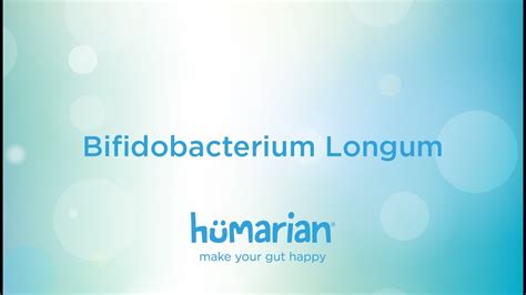 Bifidobacterium Longum Youtube