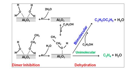 Kinetics And Mechanism Of Ethanol Dehydration On γ Al2o3 The Critical