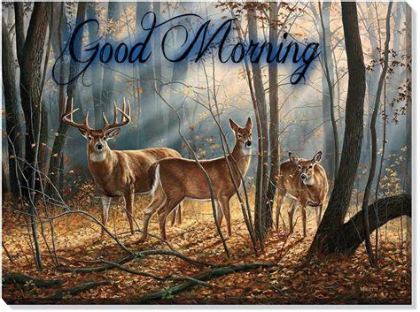 A Dixie Lady Deer Hunter Good Morning