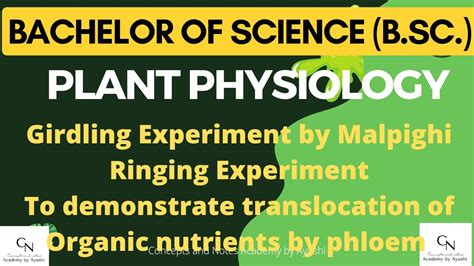 Girdling Experiment Ringing Experiment Malpighi Translocation