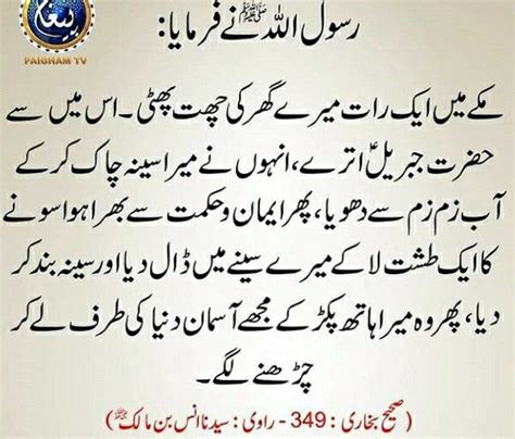 Pin On Quotes Of Hazrat Muhammad S A W