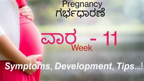 11th Week Pregnancy Symtoms Baby Development And Tips In Kannada YouTube