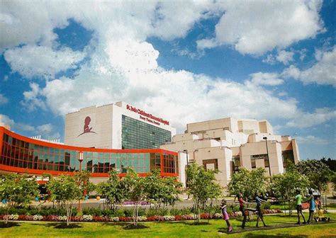 Jude founder's day is feb. My Favorite Postcards: St. Jude Children's Research Hospital