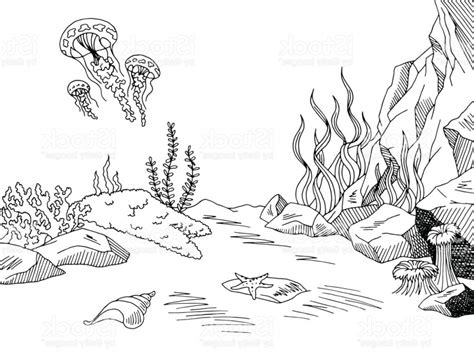 Sea Clipart Black And White Underwater Pictures On Cliparts Pub 2020 🔝