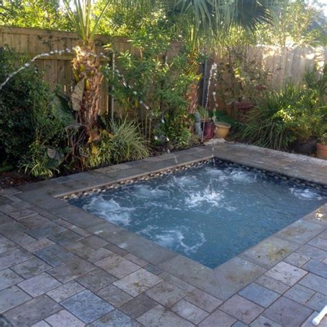 Smallplungecocktail Pools Crystal Pools And Spas Backyard Pool Swimming Pools Backyard