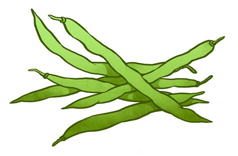 Free String Bean Cliparts Download Free String Bean Cliparts Png
