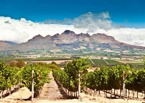 Visit Stellenbosch South Africa Tailor Made Vacations Audley Travel