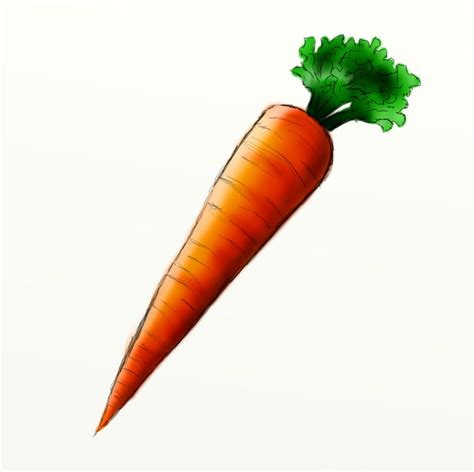 Carrot Clipart 7 Cliparting