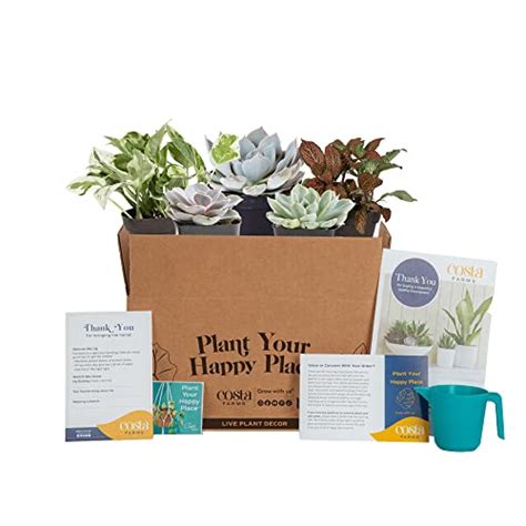 10 Best Plant Subscription Boxes For A Greener Home