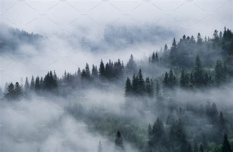 Foggy Forest Featuring Landscape Mountain And Fog Nature Stock