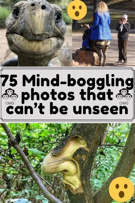 75 Mind Boggling Photos That Cant Be Unseen Photo Famous