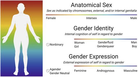 Sexual Orientation Gender Identity And Gender Expression From