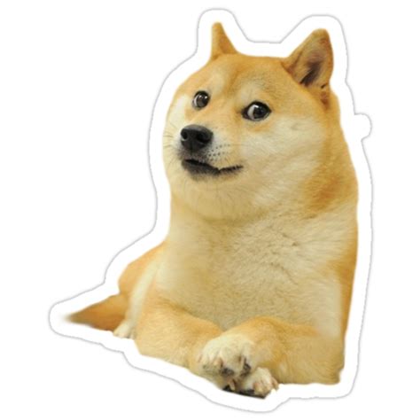 Doge Meme Stickers By Dizioboy Redbubble