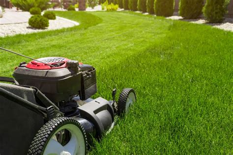 The 5 Benefits Of Cutting Your Lawn At 3 Inches Snappys Outdoor