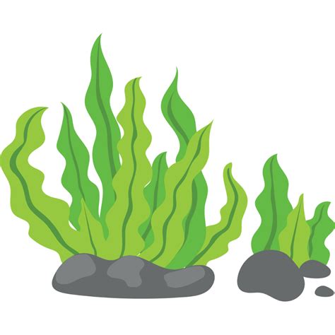 Download High Quality Seaweed Clipart Animated Transparent Png Images