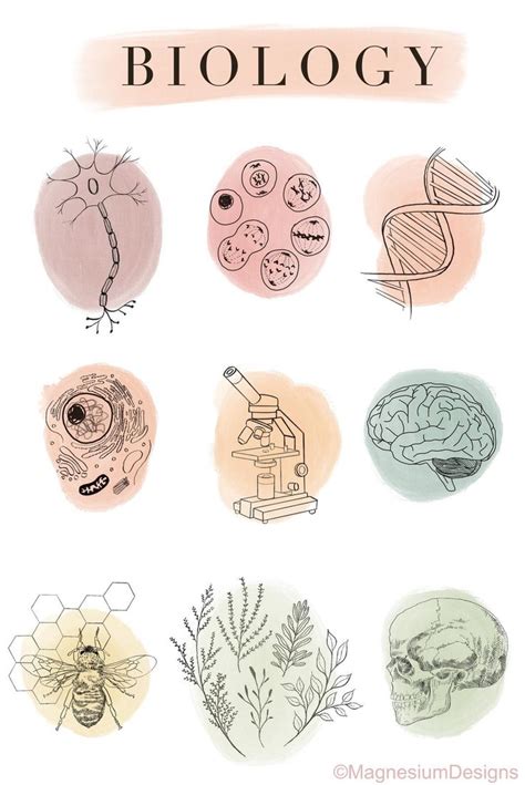 New Biology Science Sticker Pack 10 Pcs Etsy In 2021 Science