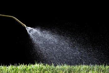 I would think you would see some weeds dropping in 24 hrs. Should I Cut My Grass Before Spraying It With Herbicide ...