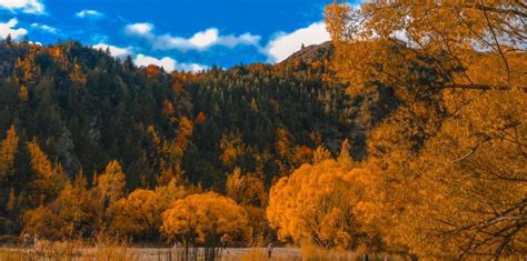 5 Best Places To Visit For Autumn Colours Vroomvroomvroom