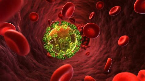 Smell training can help fix distortions caused by viruses ». Perspektive zur Aids-Heilung: Enzym deaktiviert HI-Virus ...