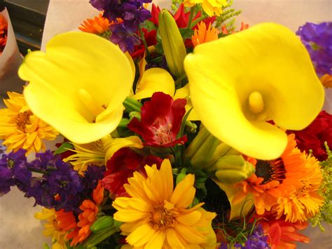 Search 123rf with an image instead of text. Free Flower Images and Stock Photos