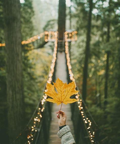 Fall Youre Beautiful By Rachelbarkman Autumn