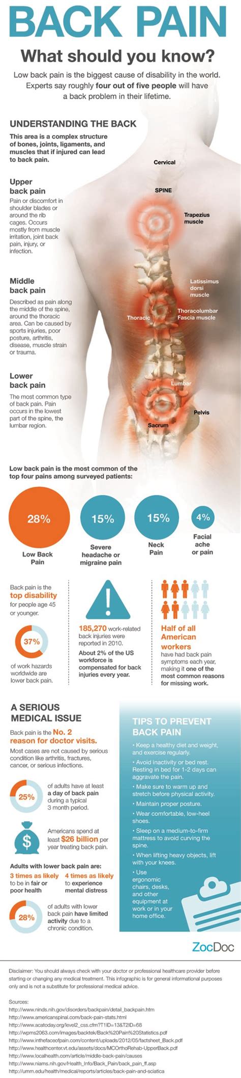 Severe Lower And Back Pain Symptoms And Treatment Pelajaran