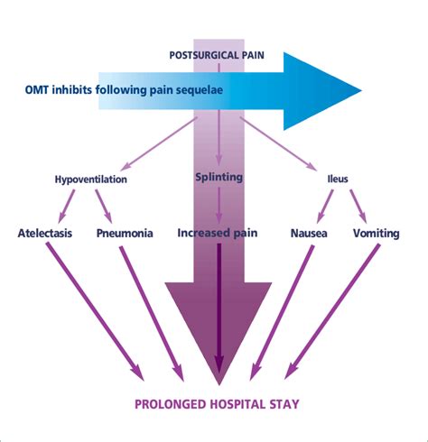 Figure Osteopathic Manipulative Treatment Omt Blocks Inhibits The