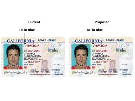 Dmv To Conduct Hearing On Drivers Licenses For Undocumented Immigrants