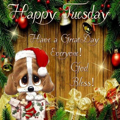 Happy Tuesday Happy Tuesday Quotes Happy Tuesday Happy Tuesday