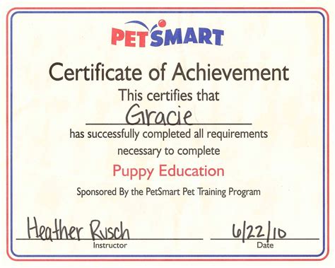 Amazing Gracie Puppy School Graduation