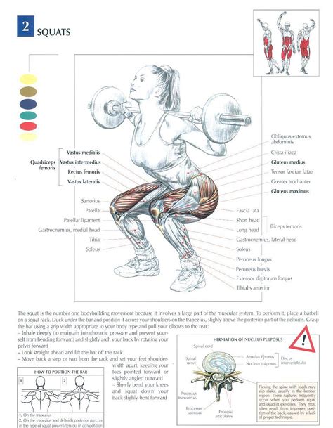 Labeled muscles of lower leg. Pin on Fitness 🏋🏽💕