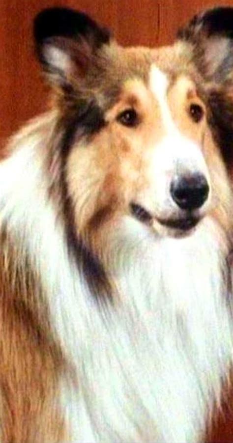 Lassie Imdb