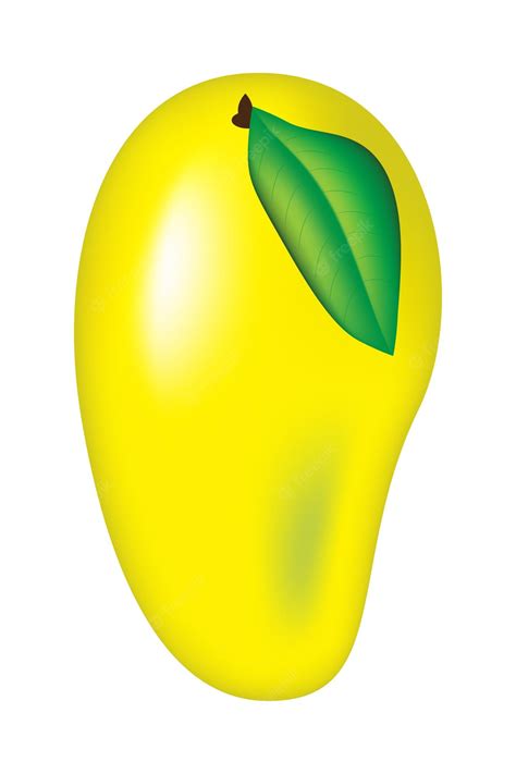 Premium Vector Mango Vector Illustration