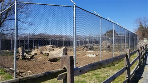 Plumpton Park Zoo Arctic Wolf Exhibit 2 Zoochat